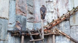 Московский зоопарк