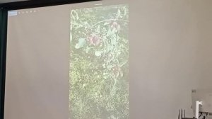 Опыт выращивания плодово-ягодных культур на байкальском тракте.