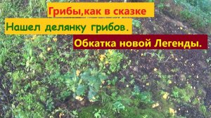 Погулял по лесу с металлоискателем. Напал на делянку лисичек. Изучаю новый прибор. Перезалив видео