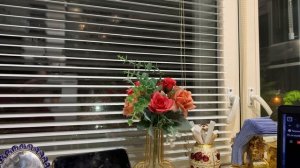 Всем ЗДОРОВЬЯ МИРА и ДОБРА ‼️