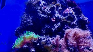 Москвариум. Часть 3