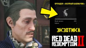 ЭКЗОТИКА - Все 10 орхидей ЖЕЛТЫЙ БАШМАЧОК в RDR 2