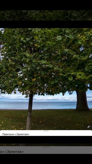 Нижний парк, Петергоф, Санкт-Петербург. Павильон «Эрмитаж». Эпизод 2