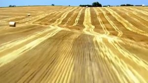 Почему половина Америки пустует? 10 штатов в которых никто не живет!