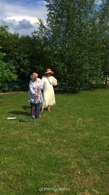 Игра Крокет