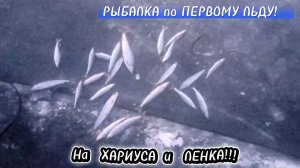ПЕРВЫЙ ЛËД 2025-2026!!! НА ХАРИУСА и ЛЕНКА!!!