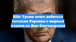 Bild: Трамп хочет добиться согласия Украины с мирным планом ко Дню благодарения