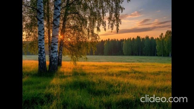 Люблю тебя, моя Россия | Стихи слушать онлайн