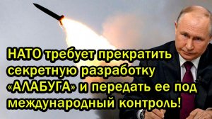 НАТО требует прекратить секретную разработку АЛАБУГА и передать ее под международный контроль