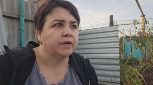 Пилим дерево, делаем мелкие покупки