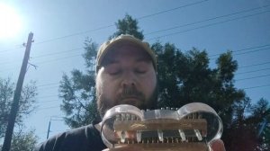 Калимба летом на улице