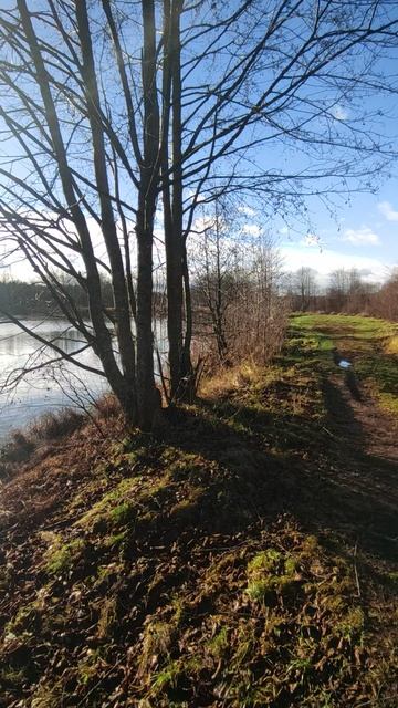 Осень смотреть онлайн