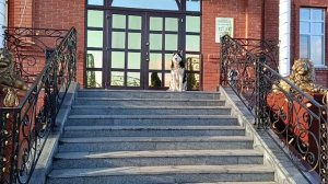 Красивая собака у ресторана.