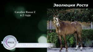 Конеферма Руссе - рожденные прыгать