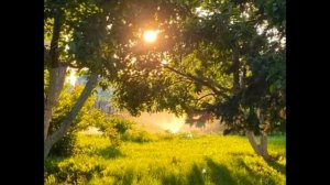 Вспомните как было весело летом.... 🥹