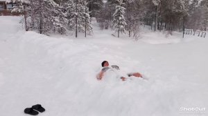 моржи Муравленко