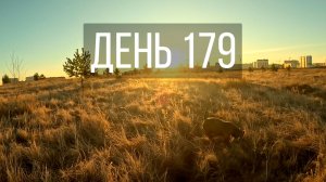 День 179