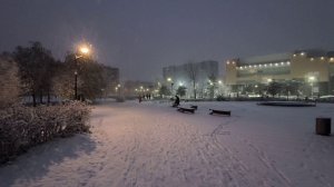 Утро в парке Боевого Братства. Ноябрь 2025.