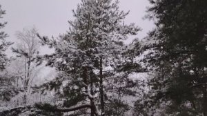 Новости из мира финансов и экономики. Последняя декада ноября