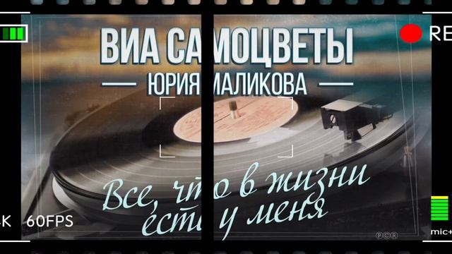 всё что в жизни есть у меня