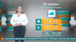 Погода в Старом Осколе на 25 ноября
