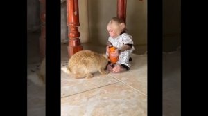 Видео от МЯУтаверс – как метавселенная, но с котами