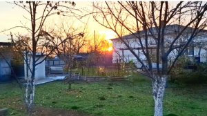 899 Утро в усадьбе на Кубани. Спасли человека. ПП завтрак.