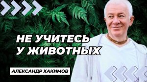 Не учитесь у животных - Александр Хакимов