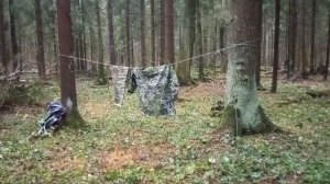 Пример хорошего камуфляжа