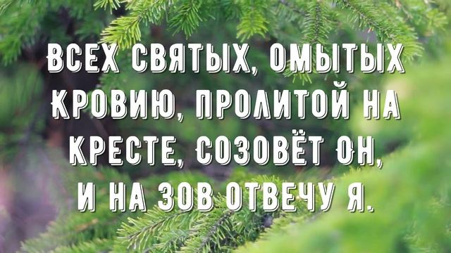 В час когда труба - минус мой 1