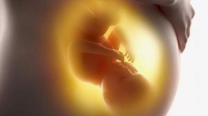 Когда ребенок в животе начинает слышать