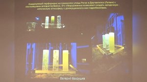 Опыт и методы популяризации аквариумов в городе Вахрушев Валерий Геннадиевич