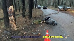 Подросток погиб при столкновении авто с деревом в Липецкой области