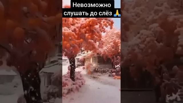 Cнег летит за воротник.Стихи Георгия из отряда БАРС - 11 смотреть онлайн