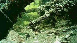 1000004928.mp4Волга гл.2м.24.11.2025г.