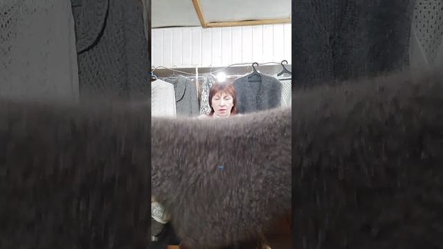 24.11.25. Пуховые и шерстяные платки косынки манишки,жилеты,стельки варежки,носки,шапки,палантины.