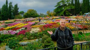 Бал хризантем. Никитский ботанический сад