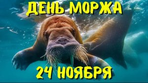 24 НОЯБРЯ– ДЕНЬ МОРЖА. ИНТЕРЕСНЫЕ ЖИВОТНЫЕ