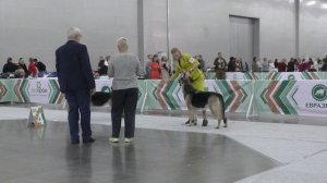 Класс ветеранов