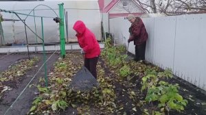 143. Обрезка малины. Ищем кур. Готовим булки.