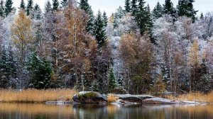 Осенний романс...