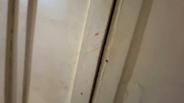 Продам квартиру проспект Труда, 88, г.Воронеж 89601262284