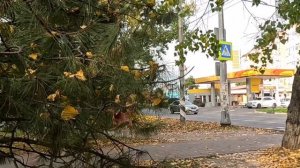 24.11.Осенняя Анапа.