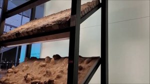 время новой религии в музее