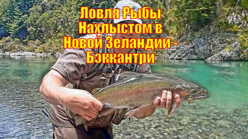 Ловля Рыбы Нахлыстом в Новой Зеландии - Бэккантри