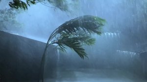 шум дождя для сна релакс)