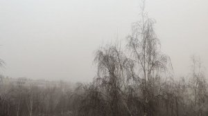 24 ноября Туман пасмурно дождь ☔ а следом пойдет снег ❄️ зима через 6 дней...
