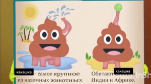 Немного юмора