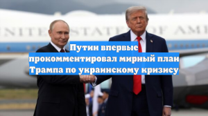 Путин впервые прокомментировал мирный план Трампа по украинскому кризису