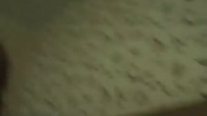 11 ноября 2019 г.